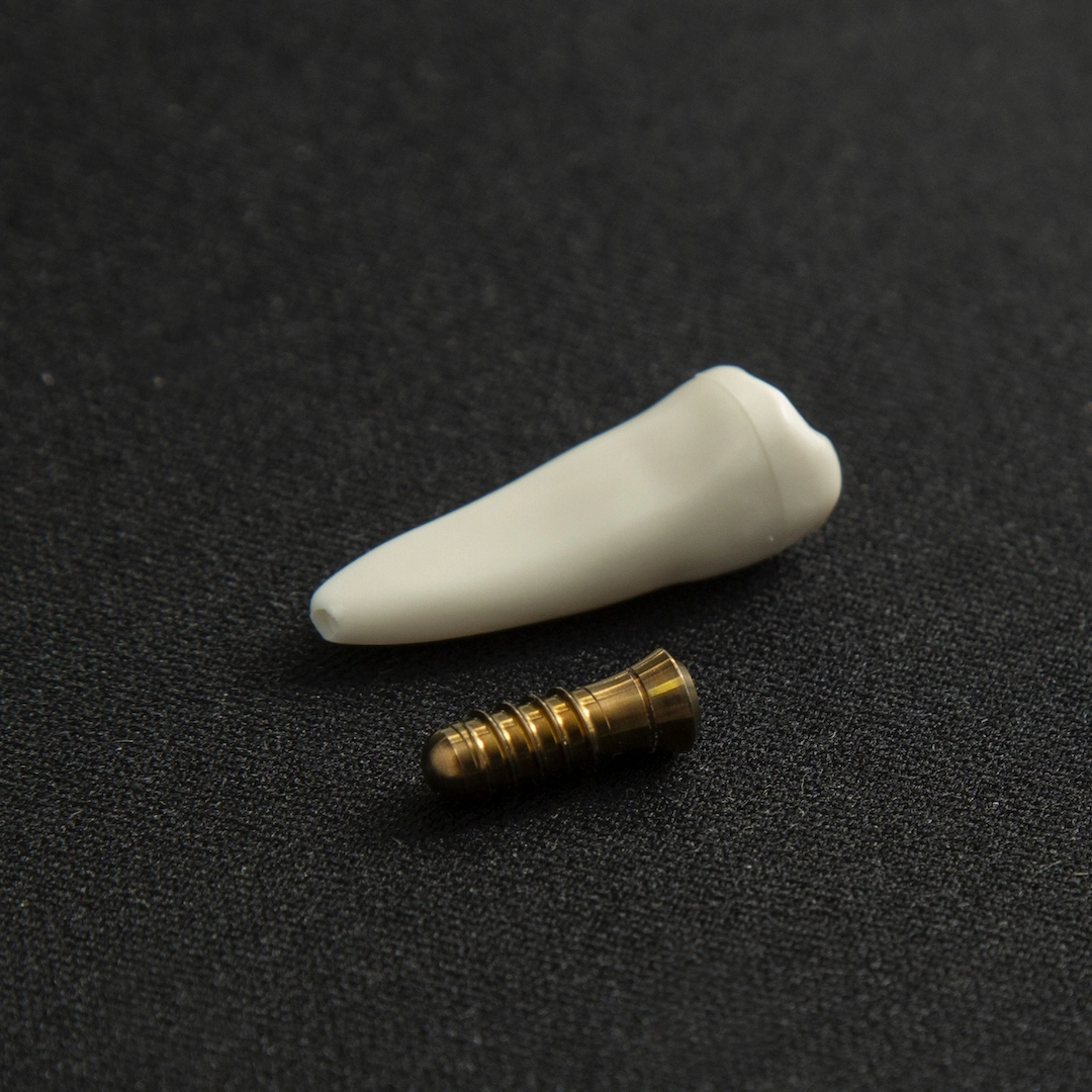 tinywow_closeup-of-screw-for-dental-implant-2022-05-09-23-36-21-utc (1)_17169347